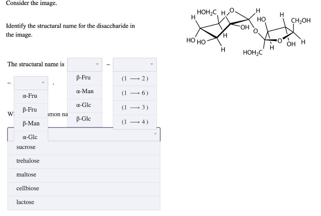 one monosaccharide and a hydroxyl (-OH) group of another monosaccharide. Identify the