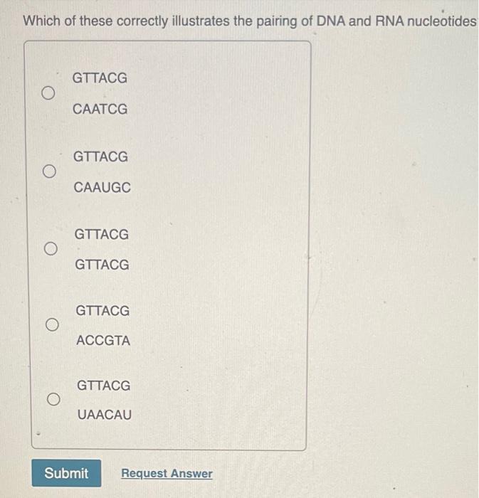 transcription factors ORNA polymerase O the promoter Submit Request Answer In the