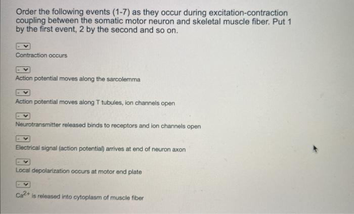 Order the following events (1-7) as they occur during excitation-contraction coupling between