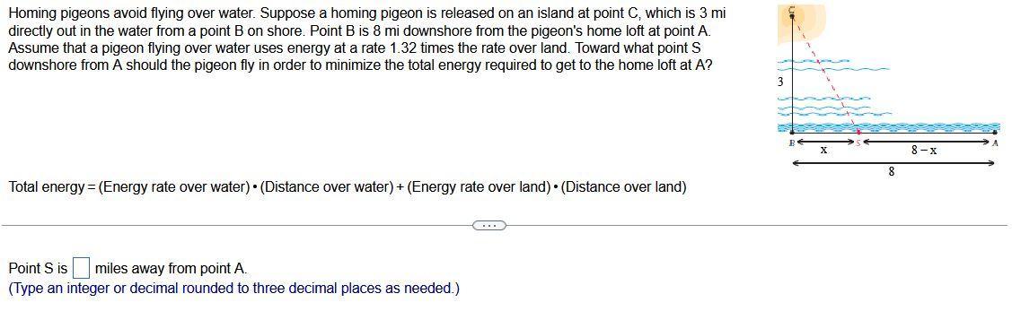 Homing pigeons avoid flying over water. Suppose a homing pigeon is released on an island at point ( mathrm{C} ), which is