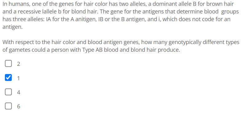 In humans, one of the genes for hair color has two alleles, a dominant allele B for brown hair and a recessive lallele ( b 