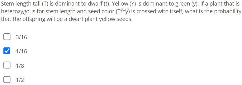 Stem length tall ( (mathrm{T}) ) is dominant to dwarf ( (mathrm{t}) ). Yellow ( (mathrm{Y}) ) is dominant to green 