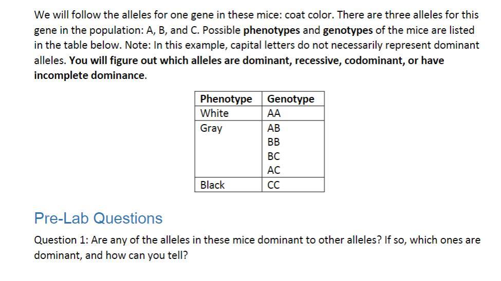 We will follow the alleles for one gene in these mice: coat color. There are three alleles for this gene in the population: A