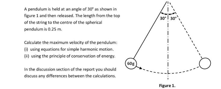 A pendulum is held at an angle of 30 as shown in figure 1 and then released. The length from the top of the