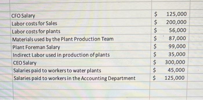 CFO Salary Labor costs for Sales ( $ 125,000 ) Labor costs for plants Materials used by the Plant Production Team Plant Fo