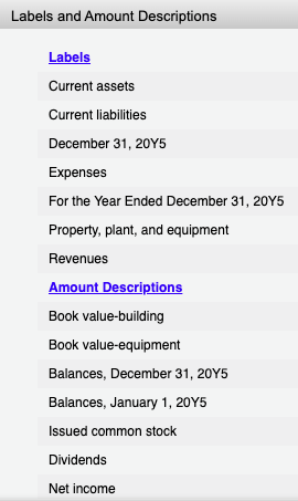 Labels and Amount Descriptions Labels Current assets Current liabilities December 31, 20Y5 Expenses For the