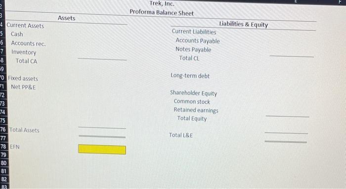 Trek, Inc. Proforma Balance Sheet Long-term debt Shareholder Equity Common stock Retained earnings Total Equity Total L&E