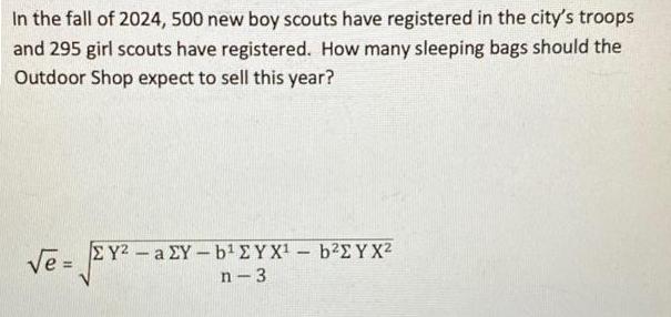 In the fall of 2024, 500 new boy scouts have registered in the city's troops and 295 girl scouts have