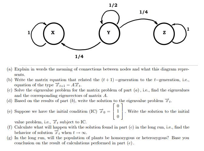CC 1/2 Y 1/4 1/4 (a) Explain in words the meaning of connections between nodes and what this diagram repre-