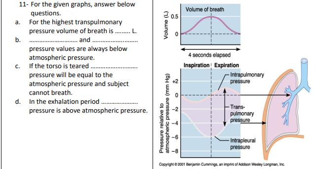 11- For the given graphs, answer below questions. a. For the highest transpulmonary pressure volume of breath is L. b. and pr