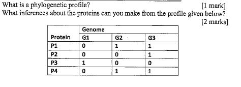 What is a phylogenetic profile? [1 mark] What inferences about the proteins can you make from the profile