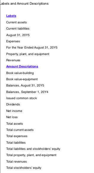 Labels and Amount Descriptions Labels Current assets Current liabilities August 31, 20Y5 Expenses For the