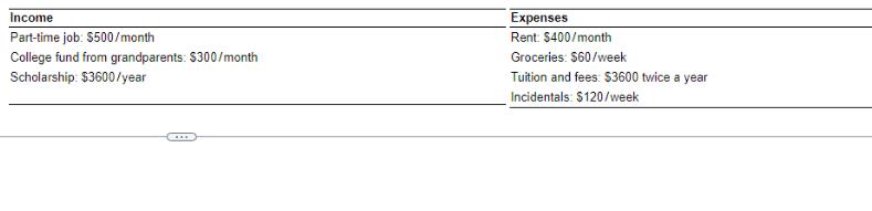 Income Part-time job: $500/month College fund from grandparents: $300/month Scholarship: $3600/year Expenses