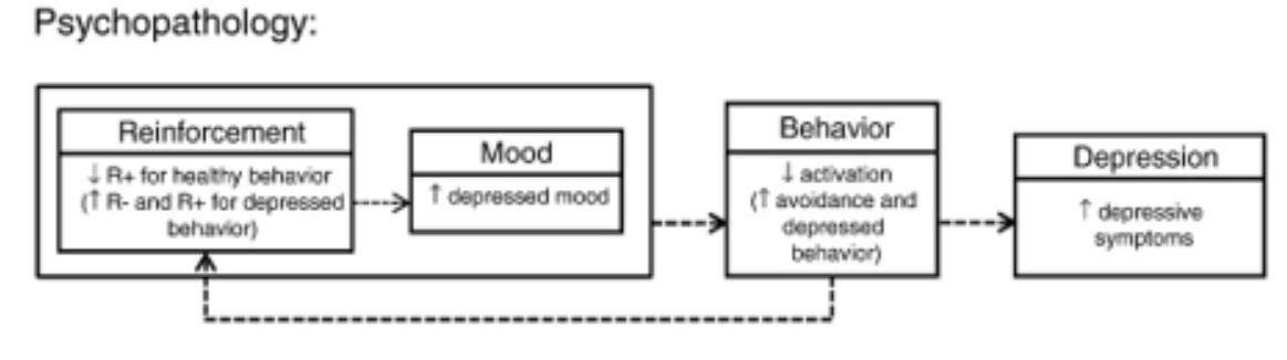 Psychopathology: Mood 293.  depressed mood Reinforcement R+ for healthy behavior (TR-and R+ for depressed