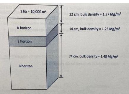 1 ha = 10,000 m A horizon E horizon B horizon. 22 cm, bulk density = 1.37 Mg/m 14 cm, bulk density = 1.25