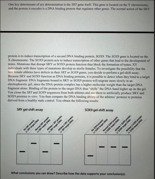 One key determinant of sex determination is the SRY gene itself. This gene is located on the Y chromosome,