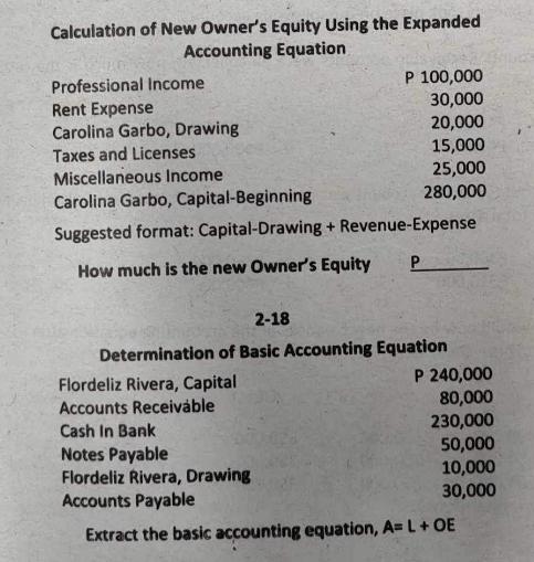 Calculation of New Owner's Equity Using the Expanded Accounting Equation Professional Income Rent Expense