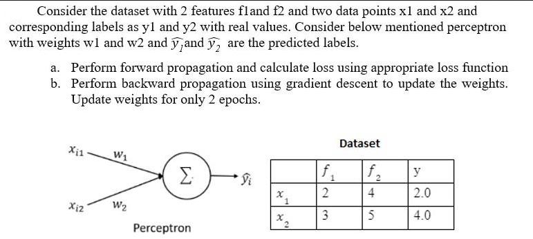 Consider the dataset with 2 features fland f2 and two data points x1 and x2 and corresponding labels as y1