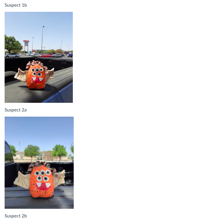 exchangeable image file (EXIF) data. Instructions: Take notes that document your steps