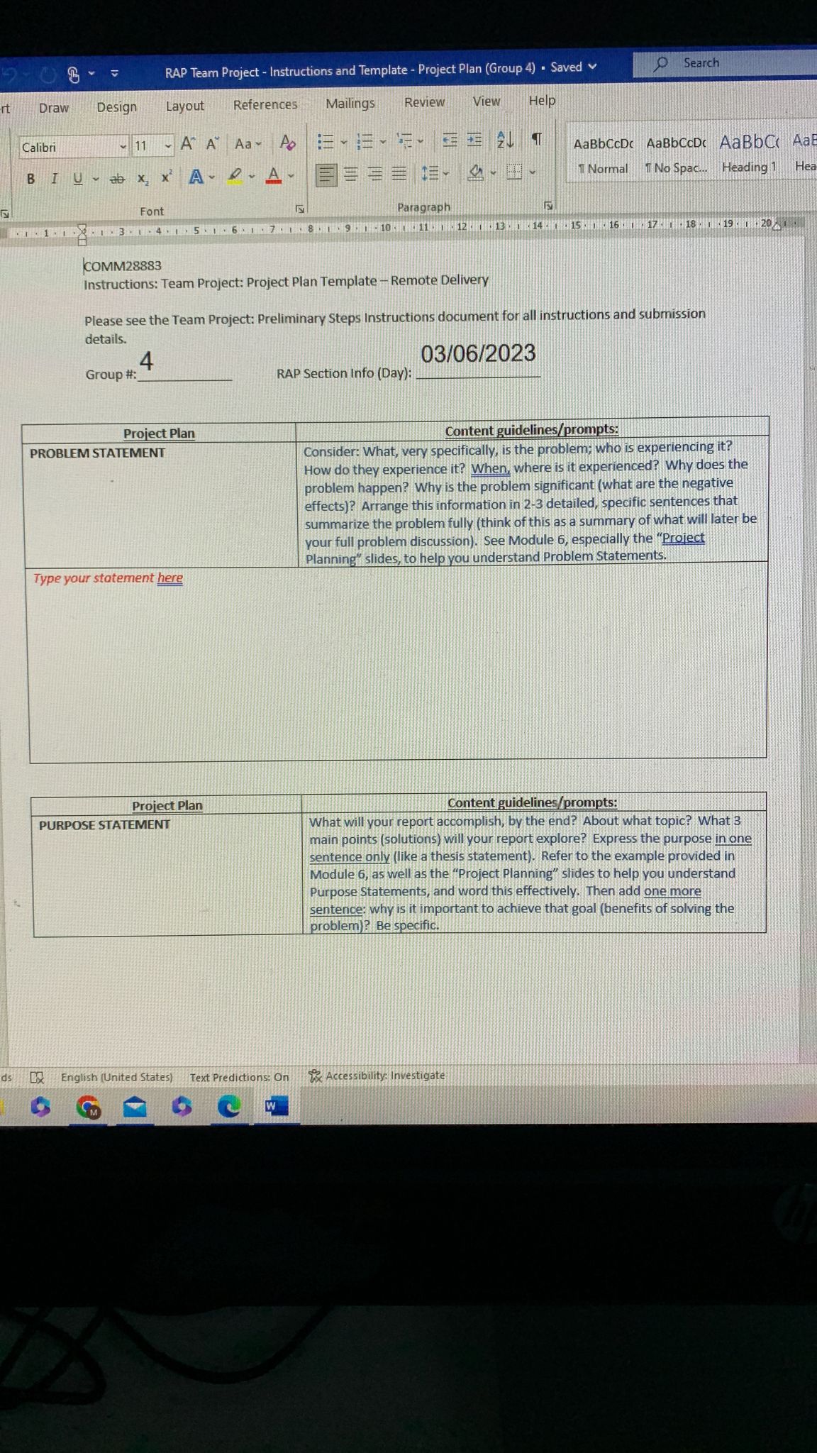 RAP Team Project - Instructions and Template - Project Plan (Group 4)