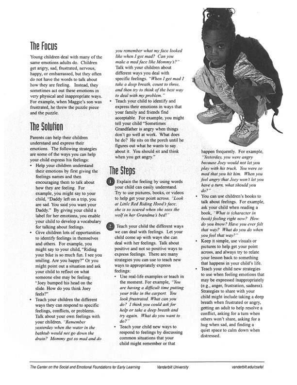 The Focus Young children deal with many of the same emotions adults