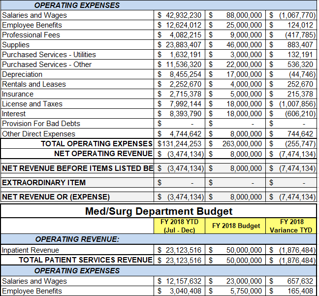 OPERATING EXPENSES Salaries and Wages Employee Benefits Professional Fees Supplies Purchased Services