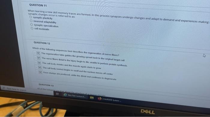 help with these 2 questions please QUESTION 11 When learning a new