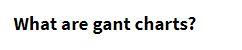  What are gant charts