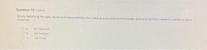  Question 13 11 point) Activity identifying the tasks, duties and responsibilities