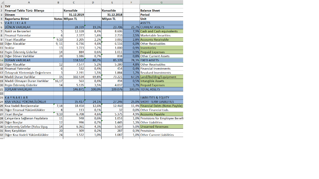 Perform horizontal and vertical analysis for THY using 2019-2018 financial statements.