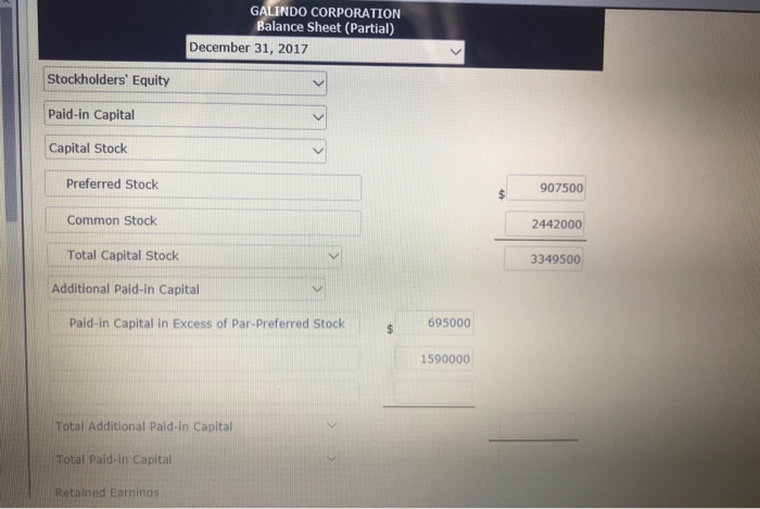 following stockholders' equity accounts arranged alphabetically are in the ledger of Galindo