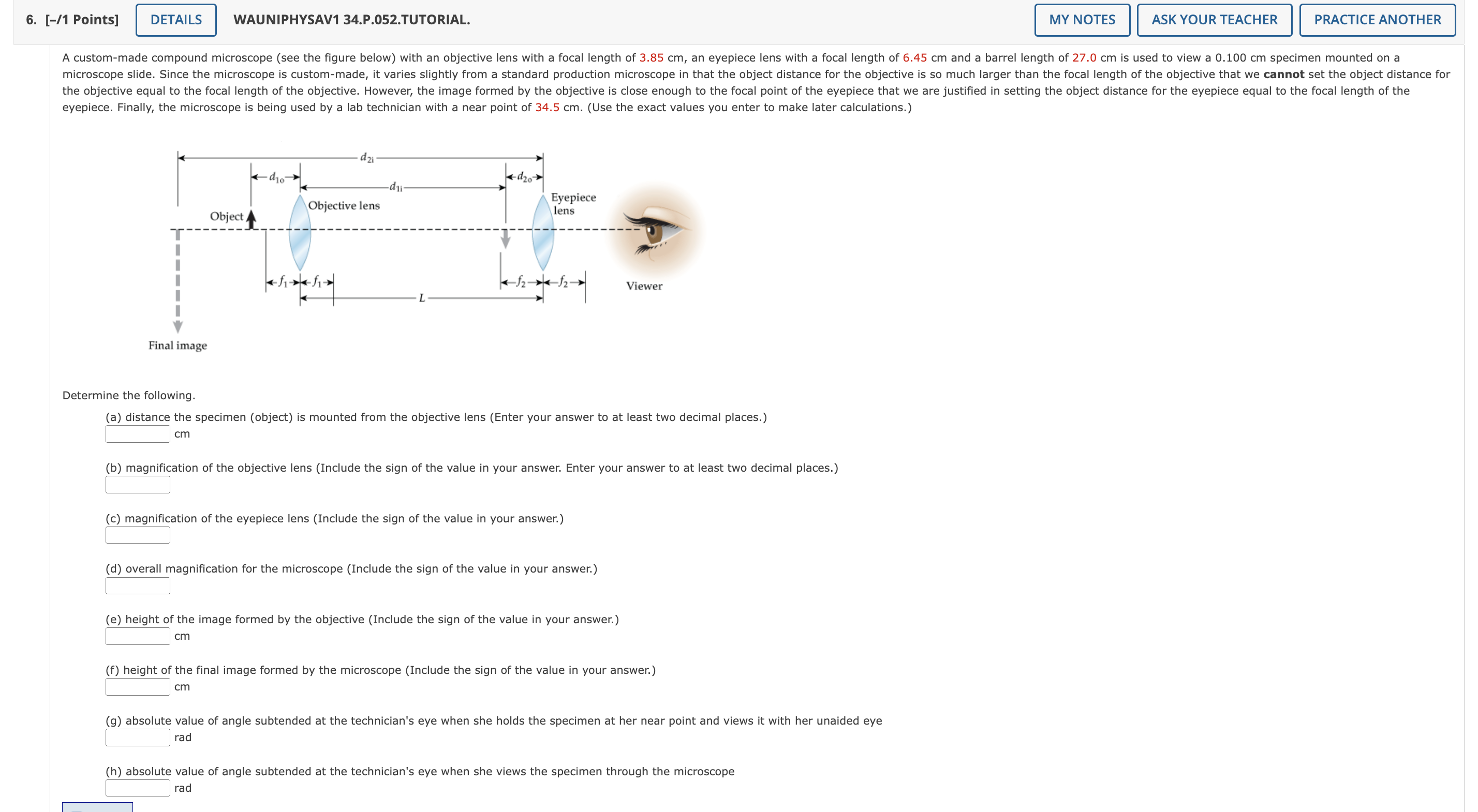 answers please circle the answers please circle the answers please circle the