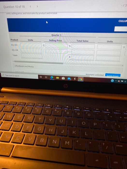 Current Attempt in Progress Culumber Electronics Inc. produces and sell two models