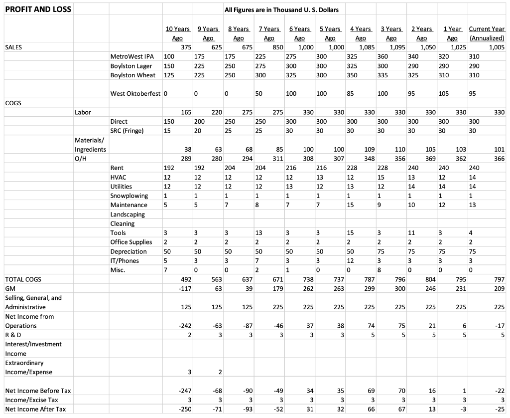 Write the Financials section. Critique P & L, Cash Flow, and Balance