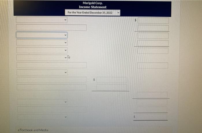 the year ended December 31, 2022 Marigold Corp. reported the following condensed