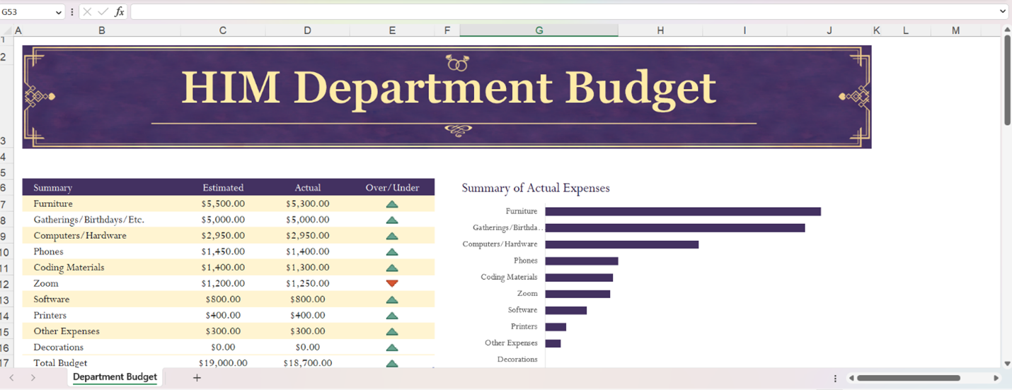 HIM Department Budget