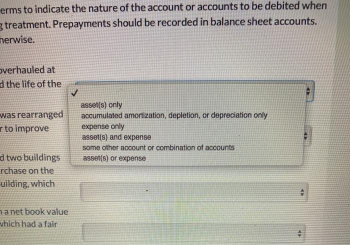 when recording each transaction using the preferred accounting treatment. Prepayments should be
