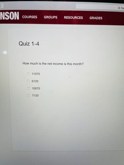 a sole proprietorship and will provide consulting services, computer system installations, and
