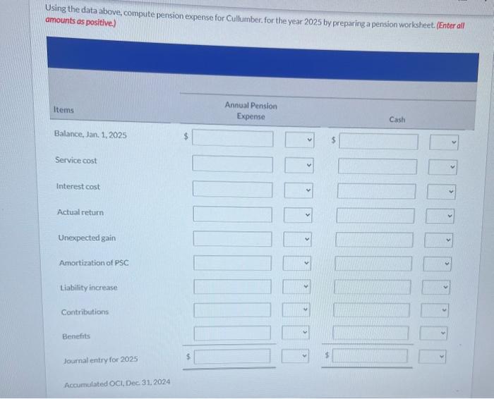 it and do a journal entry for the pension expense. Cullumber Corp.