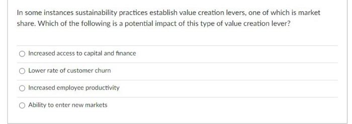  In some instances sustainability practices establish value creation levers, one of