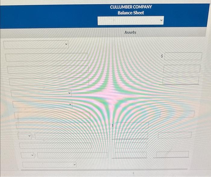 statements of Cullumber Company at December 31, 2022. CULLUMBER COMPANY Balance Sheet