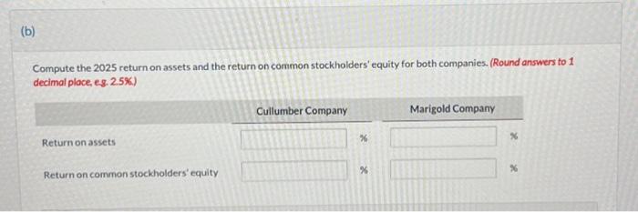 31.2024. Compute the 2025 return on assets and the return on common