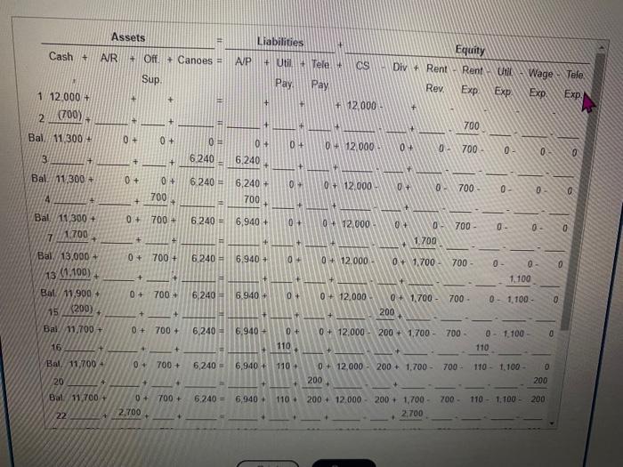 service based company that rents canoes for use on local lakes and