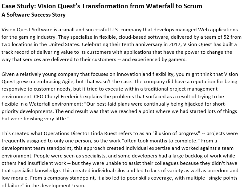 Using the Vision Quest Software case study, assume your selected role and