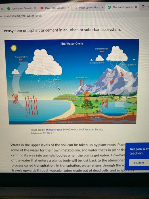 is this chart a flow chart or an organizational chart and why?