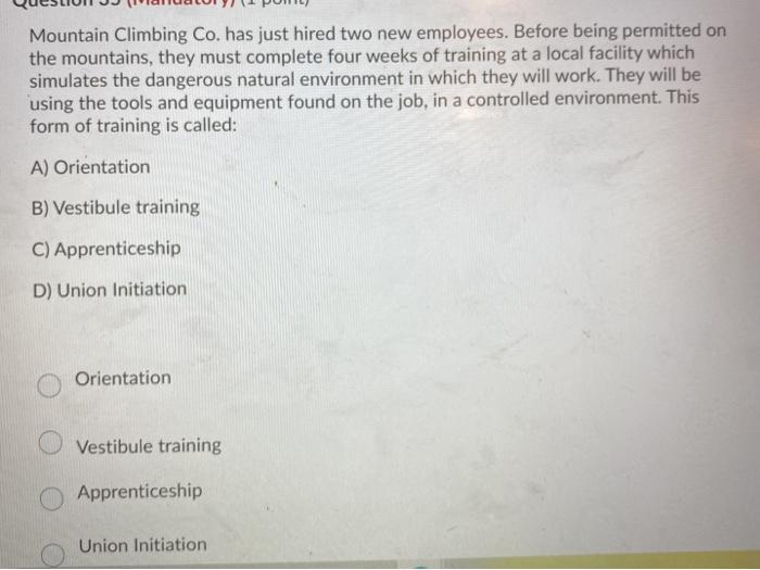 a A) simple ranking system B) critical incident method C) graphic rating