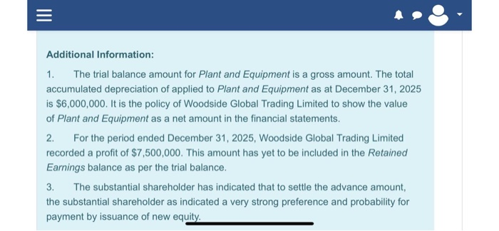 external accountant to assist in the preparation of the entity's 2025 financial