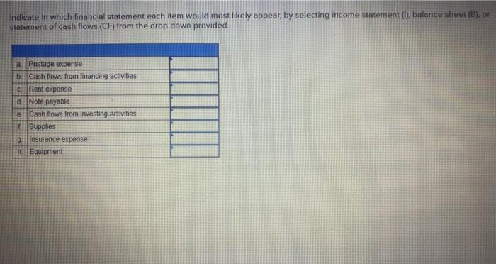 Indicate in which financial statement each item would most likely appear