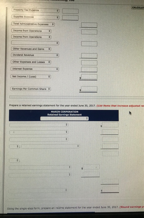 June 30, 2017. Sales revenue Sales discounts Cost of goods sold Salaries