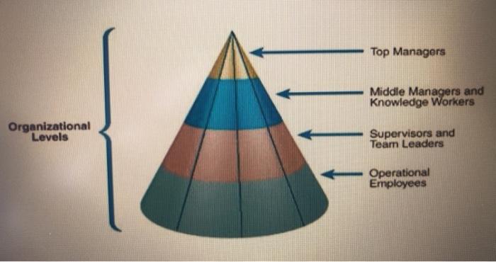 Name the different Informatio System user positions based on the organizational level.